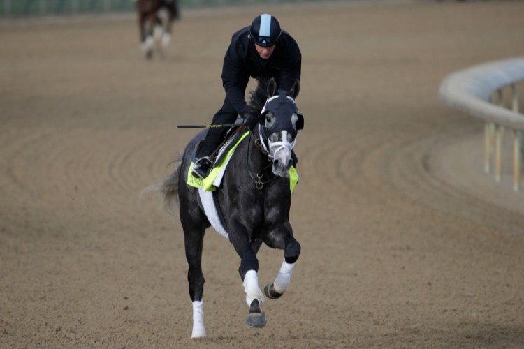 Wood Memorial Stakes Racing and Sports