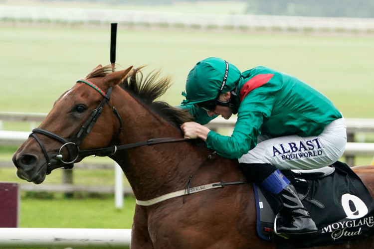 TARNAWA winning the Moyglare 'Jewels' Blandford Stakes (Group 2) (Fillies & Mares) at Curragh in Kildare, Ireland.