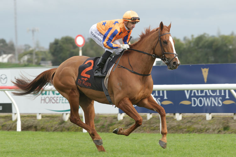 Te Akau Shark running in the U S Navy Flag Foxbridge Plate