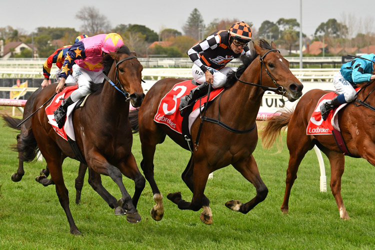 The Astrologist winning the Whisky Wine & Fire Hcp