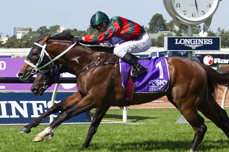 The Autumn Sun winning the Sky Racing Rosehill Guineas The Autumn Sun winning the Sky Racing Rosehill Guineas