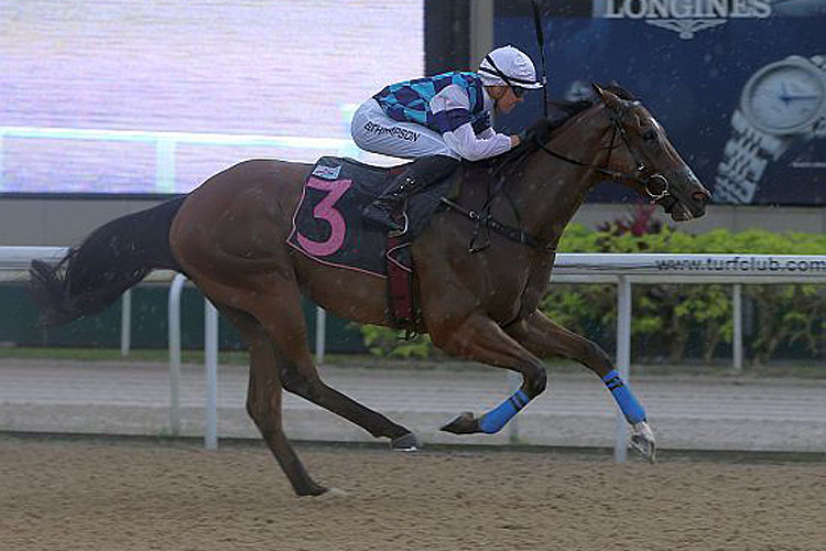 The Big Easy winning the CLASS 3 The Big Easy winning the CLASS 3