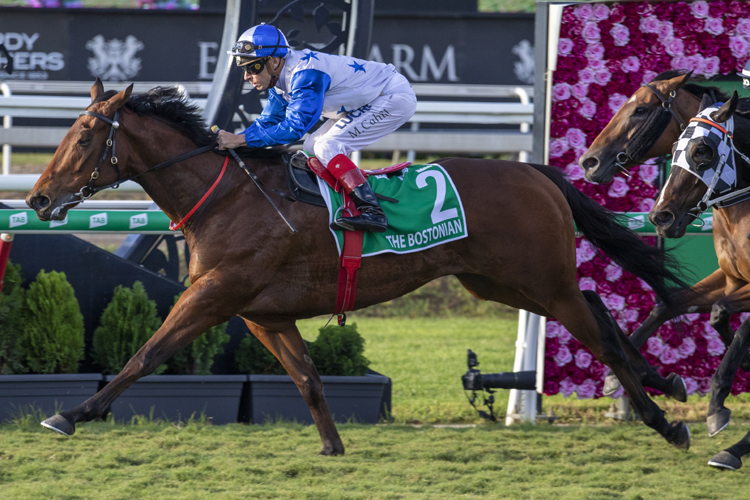 The Bostonian winning the Tab Kingsford-Smith Cup