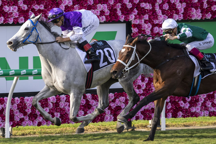 The Candy Man winning the Eva Air Premier's Cup