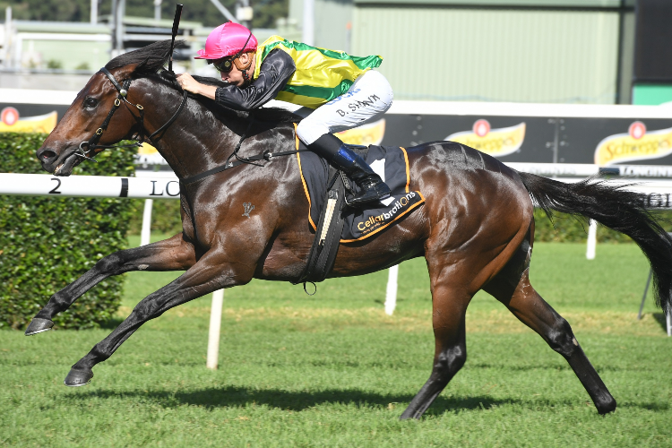 THE CHOSEN ONE winning the Cellarbrations Frank Packer Plate. THE CHOSEN ONE winning the Cellarbrations Frank Packer Plate.