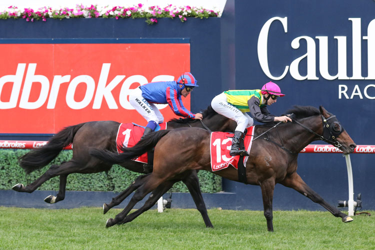 The Chosen One winning the Herbert Power Stakes