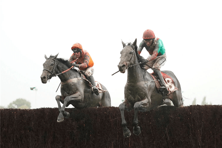 THE CONDITIONAL winning the Matchbook Betting Exchange' Handicap Chase in Cheltenham, England.