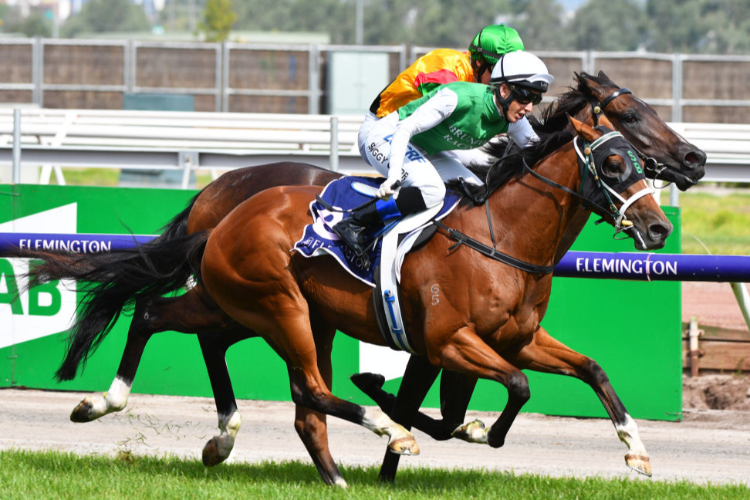 THE INEVITABLE winning the Cs Hayes Stakes during Melbourne Racing at Flemington in Melbourne, Australia.