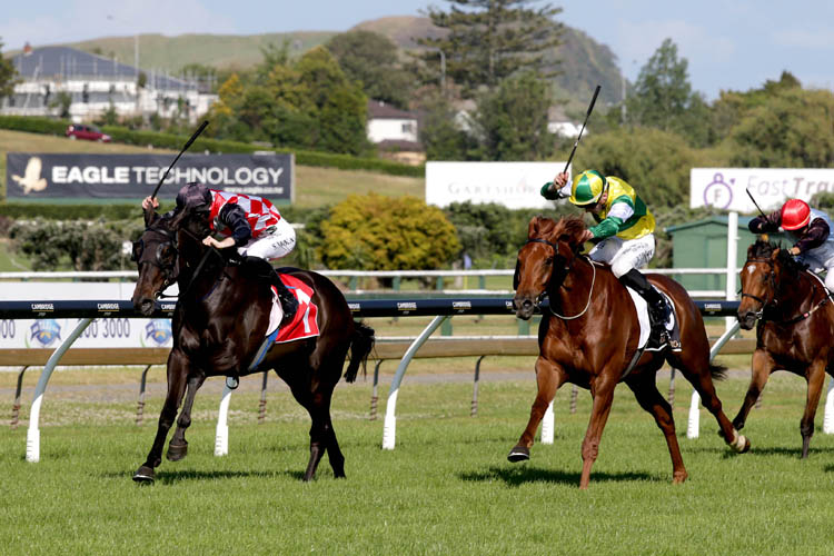 The Mitigator winning the Eagle Technology Stakes