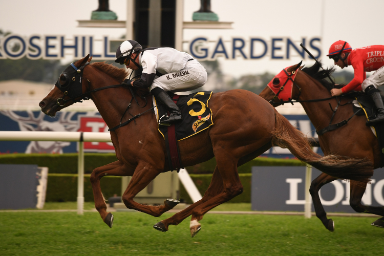 THE PARTY GIRL winning the Schweppes Handicap.