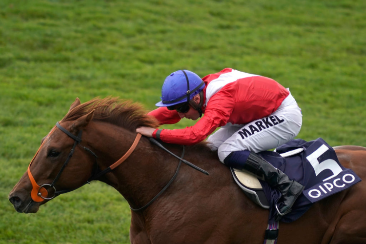 THREAT winning the Hot Streak Maiden Stakes in Newmarket, England.