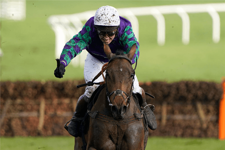THYME HILL winning the Ballymore Novices' Hurdle in Cheltenham, England.