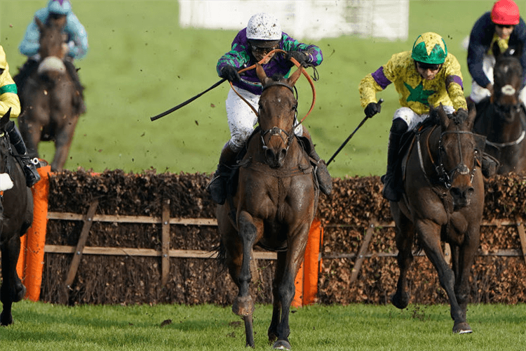 THYME HILL winning the Ballymore Novices' Hurdle in Cheltenham, England.