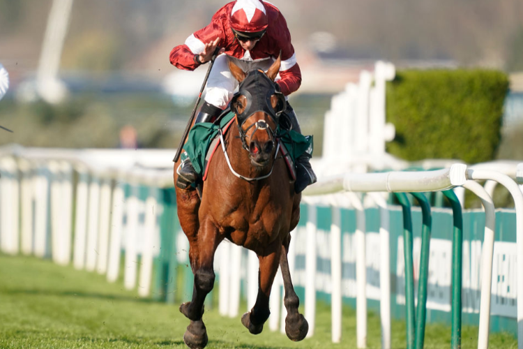 TIGER ROLL winning the Randox Health Grand National on Grand National Day at Aintree in Liverpool, England.