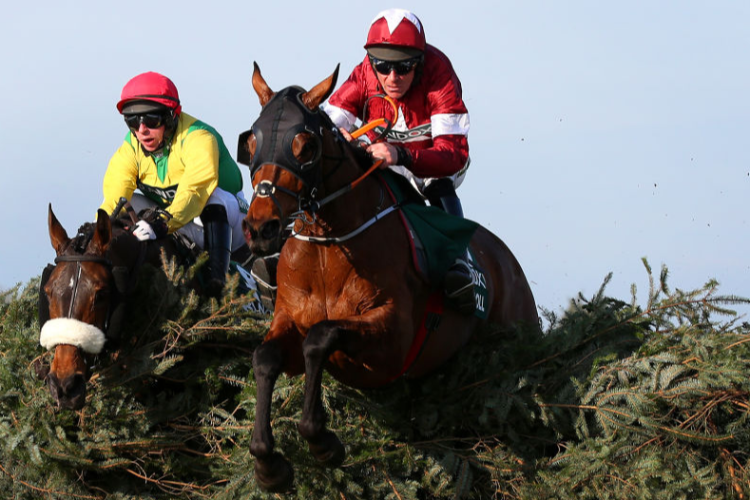 TIGER ROLL winning the Randox Health Grand National Handicap Chase at Aintree in Liverpool, England.