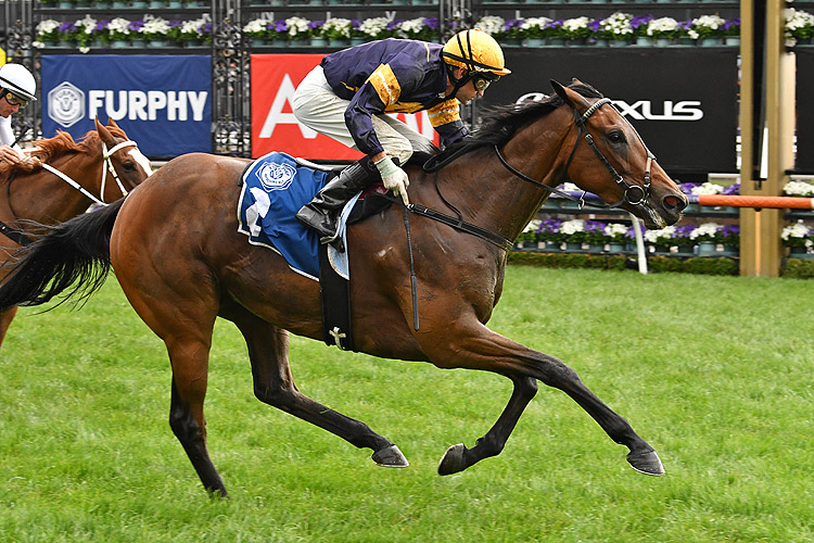 Tofane winning the Furphy Sprint