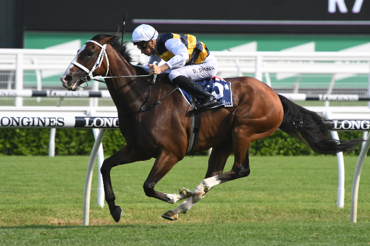 TOM MELBOURNE winning the Carrington Stakes