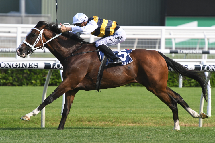 TOM MELBOURNE winning the Carrington Stakes.