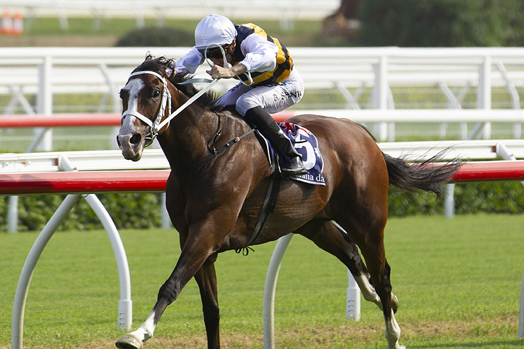 Tom Melbourne winning the Carrington Stakes Tom Melbourne winning the Carrington Stakes