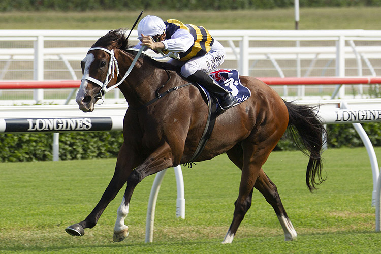 Tom Melbourne winning the Carrington Stakes