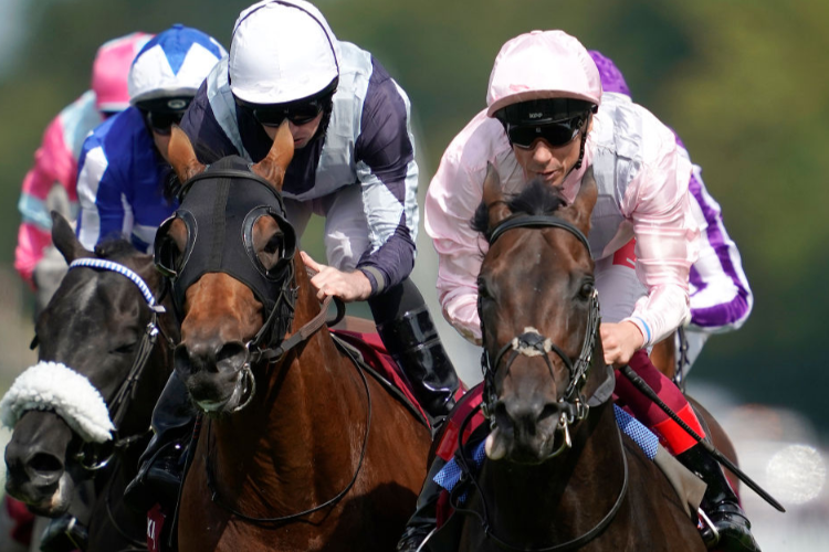 TOO DARN HOT winning the Qatar Sussex Stakes at Goodwood in Chichester, England.