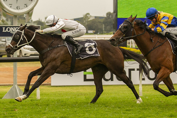 Toryjoy winning the Rosehill Bowling Club (Bm88)