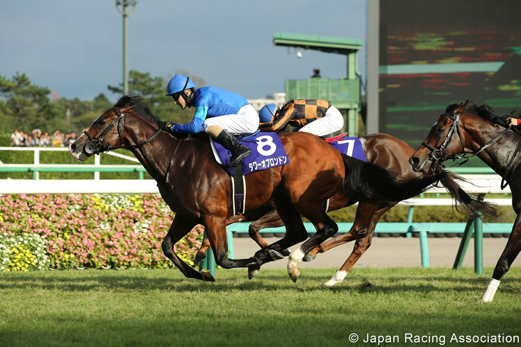 TOWER OF LONDON winning the Sprinters Stakes in Nakayama, Japan.