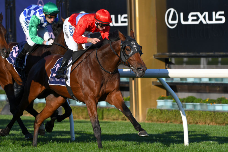 TRANSACT winning the VRC St Leger Race at Flemington in Melbourne, Australia.