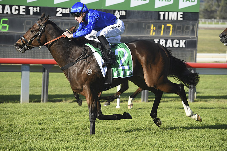 Trekking winning the Tab Luskin Star Stakes