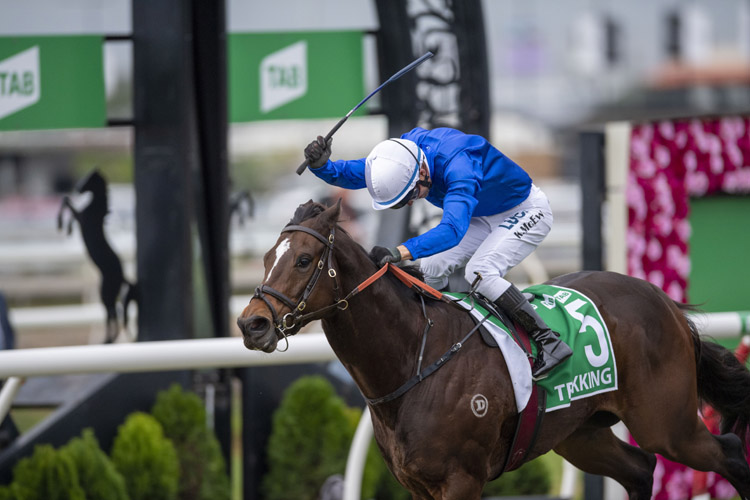 Trekking winning the Tab Stradbroke Hcp