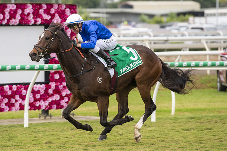 Trekking winning the Stradbroke Hcp