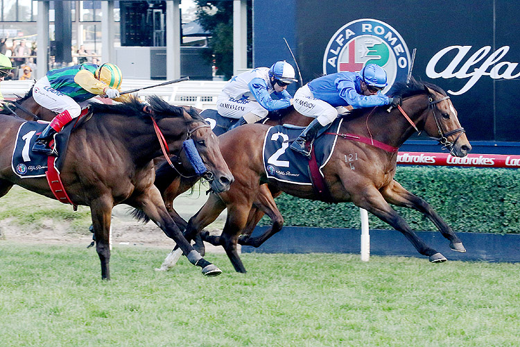 Trekking winning the Alfa Romeo Schillaci Stakes