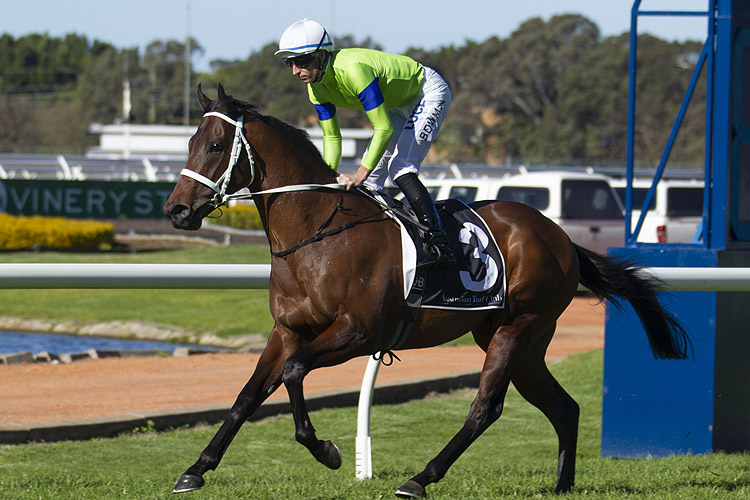 True Detective running in the Everest Carnival Hcp