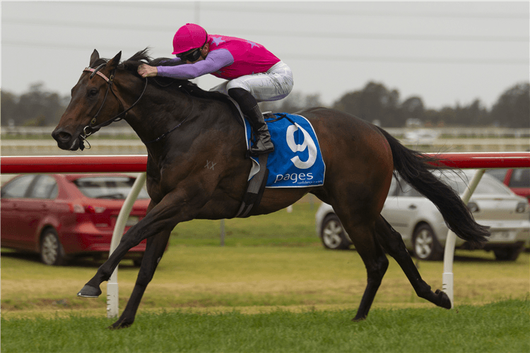 TRUMBULL winning the Polytrack Cg&e Bm78 Handicap