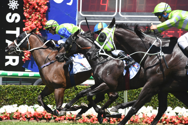 TUMULTUOUS winning the Sky Racing Magic Millions Trophy. TUMULTUOUS winning the Sky Racing Magic Millions Trophy.