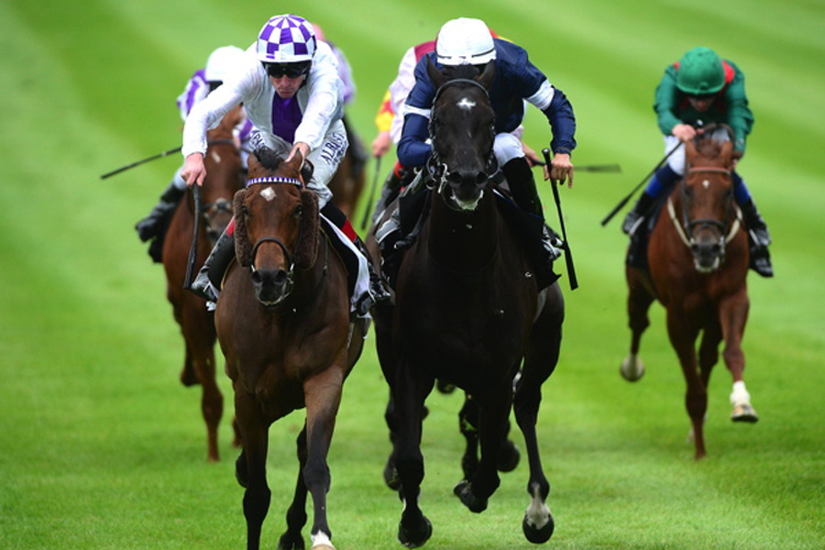 Twilight Payment winning the Comer Group International Curragh Cup (Group 2)