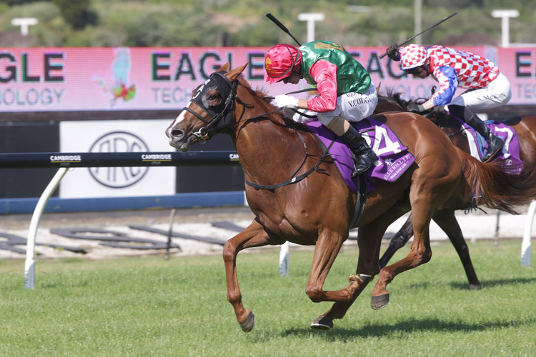 Two Illicit winning the Trevor Eagle Memorial 3yo