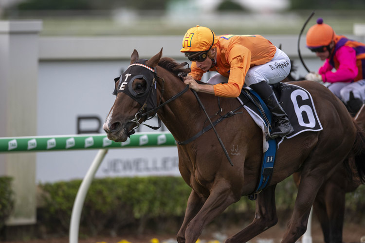 Tyzone winning the Bernborough Ascot Brc Sprint