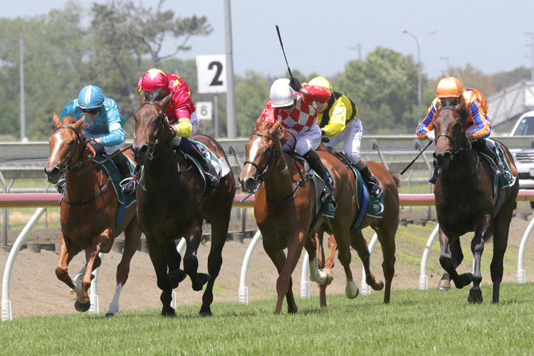 Unition (centre) and Hasstobemagic (red & White chequers) fight out a nail-biting finish at Pukekohe