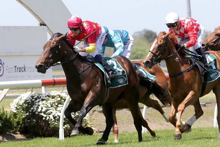 Unition winning the Fasttrack Insurance Stakes