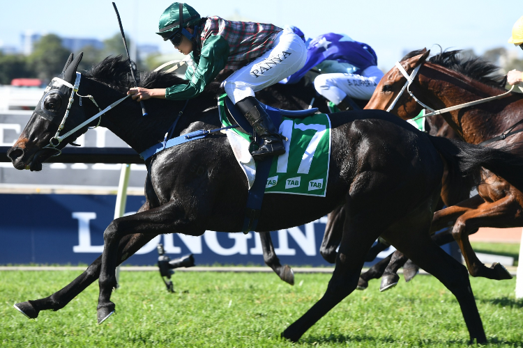 Upper House winning the Tab Highway Class 3 Plate