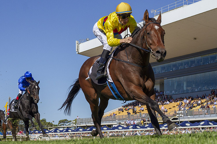 Vega One winning the Suez Queensland Day Stakes