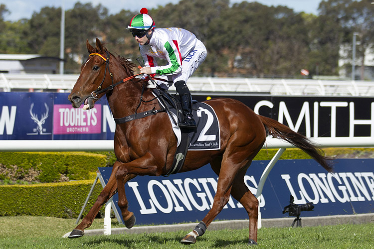 Vegadaze running in the Smithfield Rsl Missile Stakes