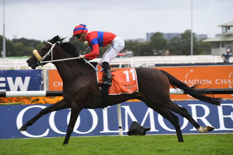 VERRY ELLEEGANT winning the Chandon S Phar Lap Stakes. VERRY ELLEEGANT winning the Chandon S Phar Lap Stakes.