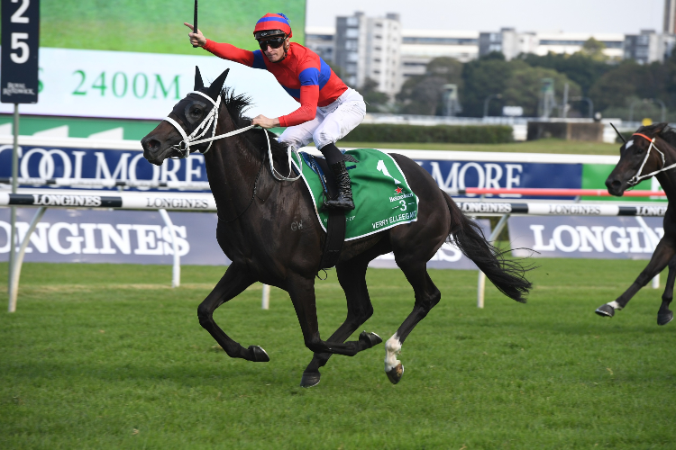 VERRY ELLEEGANT winning the Heineken 3 Australian Oaks.