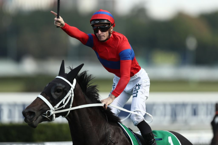 VERRY ELLEEGANT winning the Australian Oaks.