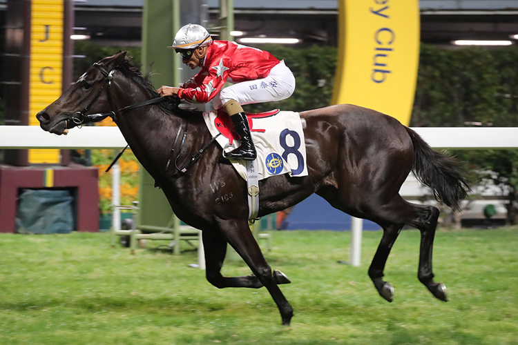 Victory In Hand is a top rater at Happy Valley on Wednesday.