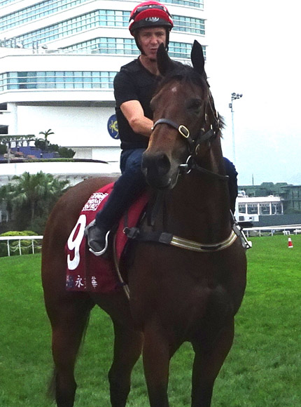 Viddora, Australian Sprint contender, with Joe Bowditch on board, poses.