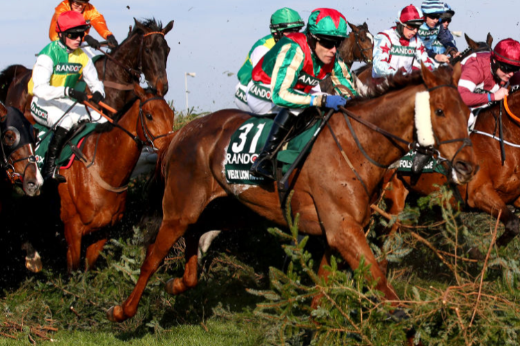 VIEUX LION ROUGE running in the Randox Health Grand National Handicap Chase (Grade 3) at Aintree in Liverpool, England.