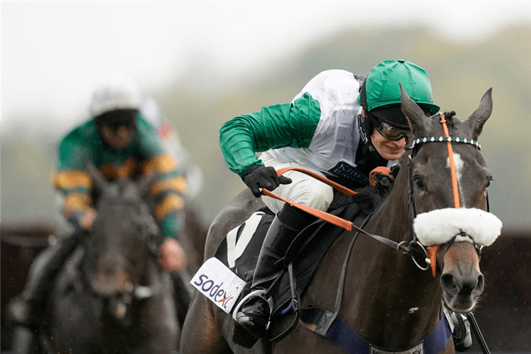 VINNDICATION winning the Sodexo Gold Cup Handicap Chase in Ascot, England.